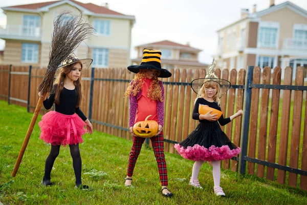 Trick Treat Filles Marchant Sur Herbe Verte Long Clôture Bois — Photo