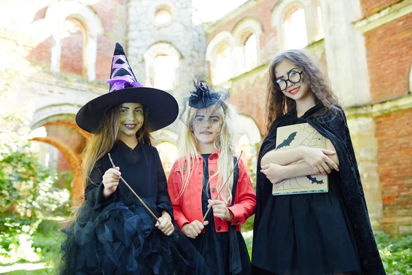 Smiling Witches Halloween Magic Symbols Gathered Having Fun Playing Tricks — Stock Photo, Image