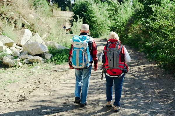Senior Backpackers Promenader Längs Vägen Genom Skogen — Stockfoto