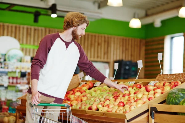 Joven Hombre Pie Por Montón Manzanas Elección Los Maduros Dulces — Foto de Stock