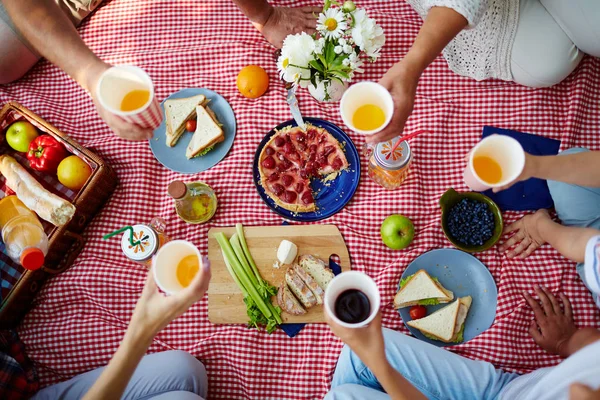 Piknik Takaró Egészséges Élelmiszer Emberi Kéz Rajta Itallal — Stock Fotó