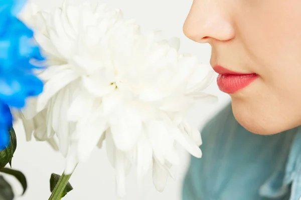 Gros Plan Jeune Femme Avec Rouge Lèvres Reniflant Chrysanthème Blanc — Photo