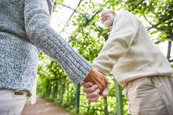 Ouder Paar Houden Door Handen Tijdens Het Wandelen Het Park — Stockfoto