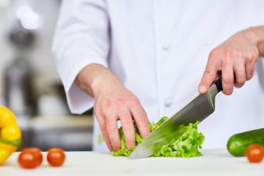Elinde Şef salatası yeşil salata kesme