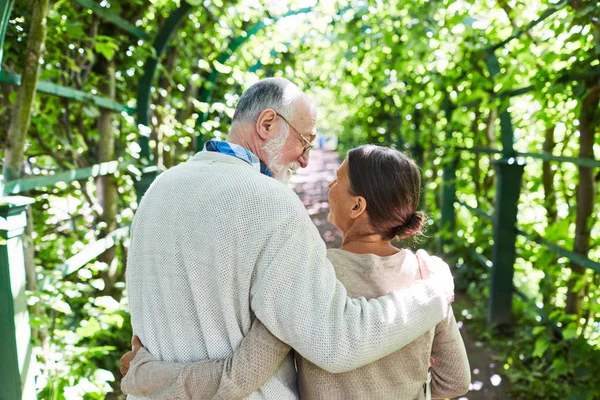 Všeobjímající Seniorům Veselým Chůze Podél Lipové Aleje Slunečný Den — Stock fotografie