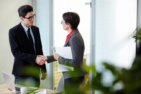 Handshaking Colleagues Greeting One Another Making Deal — Stock Photo, Image