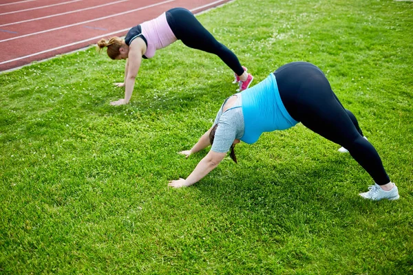 两个年轻活跃的胖女人在户外锻炼时用伸展的胳膊和腿在草坪上弯腰 — 图库照片