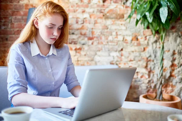 Dość Rudowłosy Dziewczyna Laptopa Szuka Ofert Necie — Zdjęcie stockowe