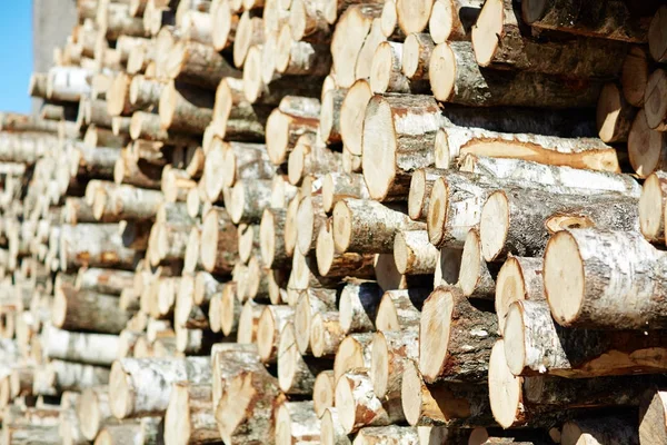 Abstract Background Firewood Stack — Stock Photo, Image