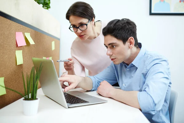 Två Anställda Pekar Laptop Display Medan Förbereder Nytt Projekt — Stockfoto