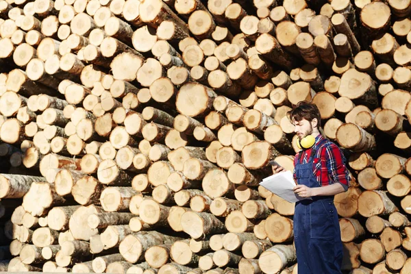 Portrait Jeune Homme Travaillant Sur Site Coupe Bois Lisant Documentation — Photo