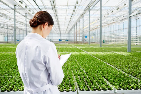 Pesquisador Fazendo Anotações Bloco Notas Durante Estudo Desenvolvimento Vegetação — Fotografia de Stock