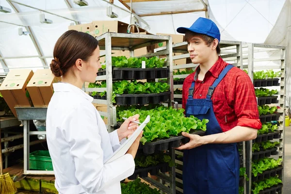 Giovani Agricoltori Ricercatori Che Discutono Nuovi Metodi Coltivazione Delle Colture — Foto Stock