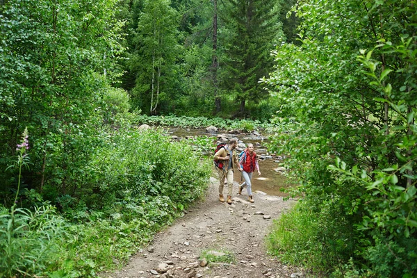 Путешественники Рюкзаками Прогуливаясь Зеленой Растительности Небольшой Рекой Заднем Плане — стоковое фото