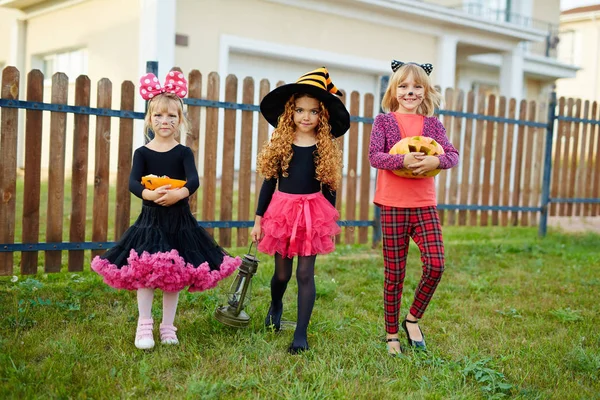 Filles Costumes Halloween Marchant Maison Maison Demandant Des Friandises — Photo