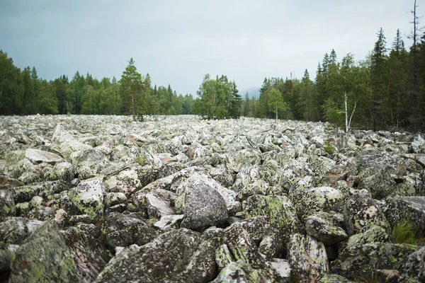 Προβολή Μεγάλες Πέτρες Που Καλύπτονται Από Βρύα Πράσινο Δέντρα Στο — Φωτογραφία Αρχείου