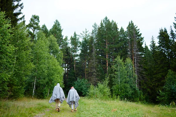 Back view of couple of hikers in plastic raincoats moving down forest path