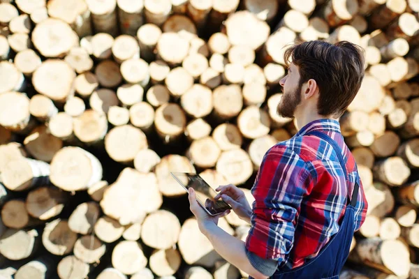 Forestale Con Touchpad Guardando Pila Tronchi — Foto Stock