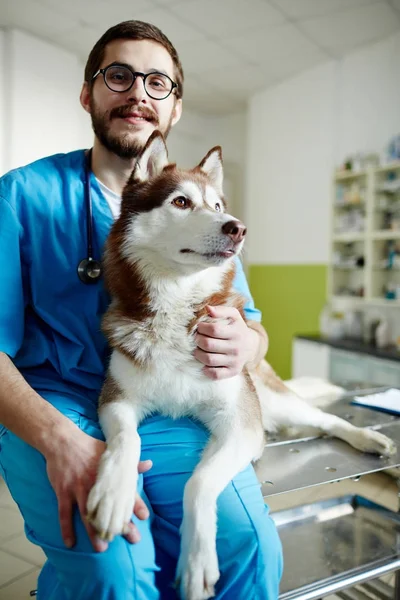 Vet Uniformě Jeho Společníka Veterinární Klinice — Stock fotografie