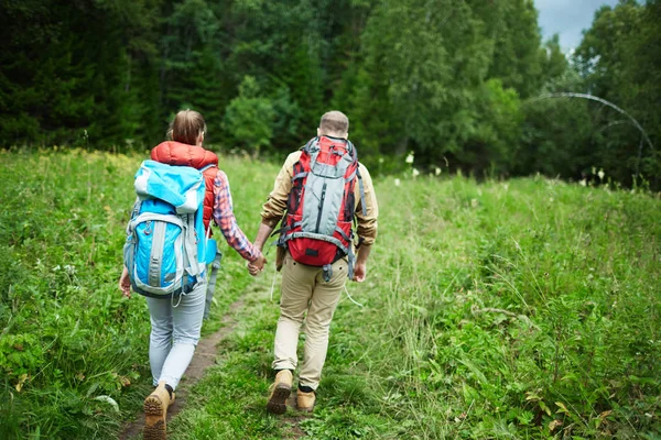 Jong Koppel Met Rugzakken Naar Beneden Groen Gras — Stockfoto