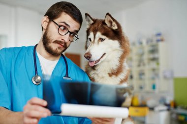 Veteriner klinisyen x-ray köpek için sonuçlar