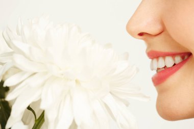 Genç kadının yakın çekim atışta beyaz arka plan karşı taze krizantem çekici gülümseme zevk güzellik