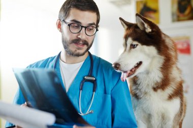 Onun hasta tıbbi x-ray görüntü gösterilen veteriner radyolog
