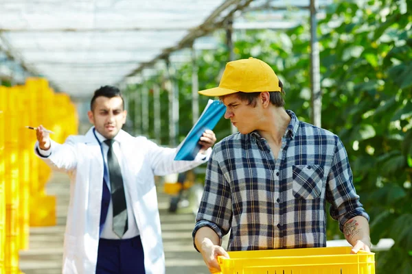 Discontent Greenhouse Owner Clipboard Hands Giving Orders Rude Manner His — Stock Photo, Image