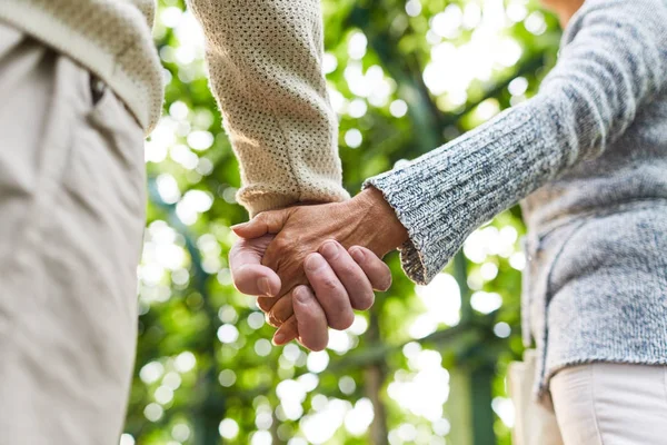 Hände Von Senioren Ehepaar Bei Spaziergang Baumallee Sonnigem Tag — Stockfoto