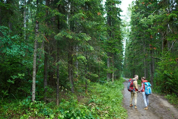 Młodych Turystów Rozmowy Podczas Poruszania Się Lesie — Zdjęcie stockowe
