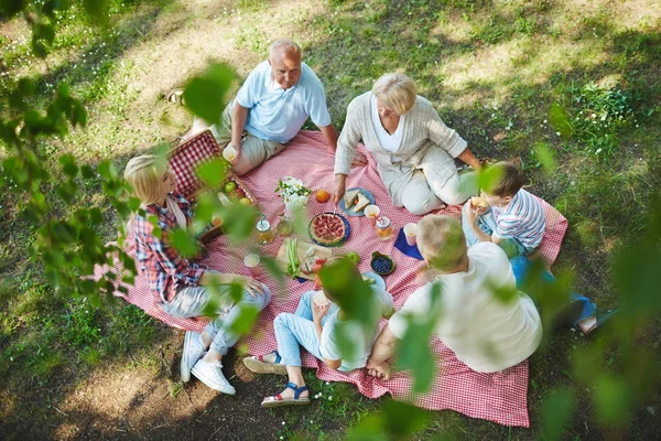 六人在草地上野餐的家庭 — 图库照片