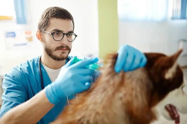 Veterán Injekciós Vakcina Miközben Beteg Gyógyulását — Stock Fotó