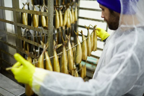 Mitarbeiter Der Fischfabrik Handschuhen Und Einheitlichen Haltedrähten Mit Geräuchertem Fisch — Stockfoto