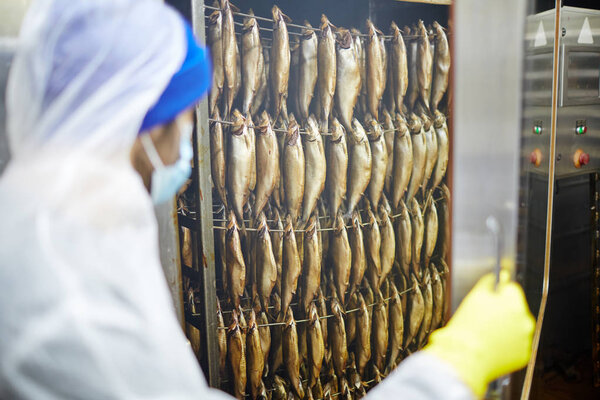 Staff in uniform pushing cart with several rows of smoked herrings