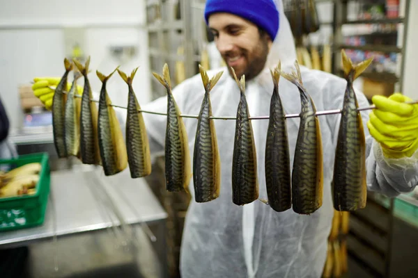 Appetitlich Geräucherte Makrelen Hängen Draht Gehalten Von Einem Mann Uniform — Stockfoto