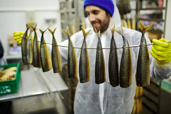 Appetizing smoked mackerels hanging on wire held by man in uniform