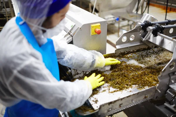 Trabalhador Planta Frutos Mar Misturando Salada Algas Cozidas Moagem Especial — Fotografia de Stock