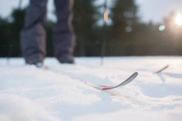 Skidspår Och Mänskliga Skidor Stående Vit Snö Träning Park — Stockfoto