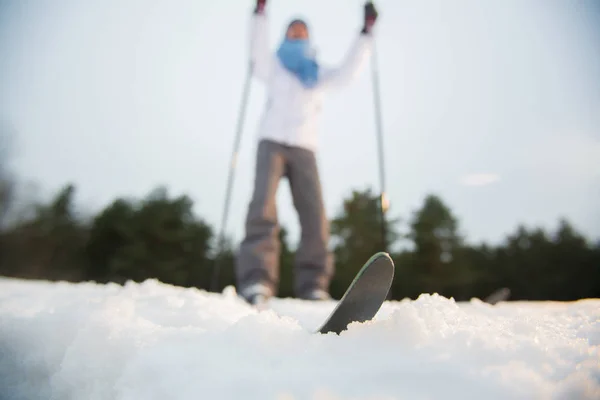 Actieve Skiër Sneeuwjacht Beoefenen Van Winter Activiteit Park Bos — Stockfoto