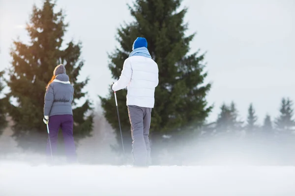 森のスキー行に沿ってまっすぐ移動する つのスキーヤーの背面図 — ストック写真