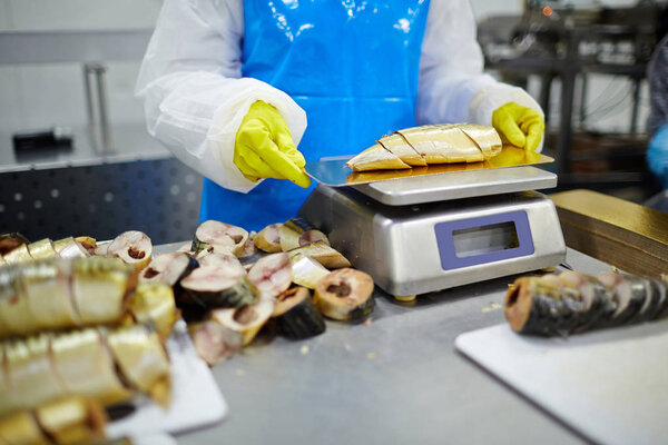 Gloved staff of seafood plant checking weight of smoked sardine pieces before canning