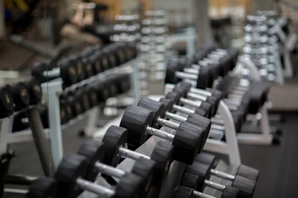 Rijen Van Sportuitrusting Voor Het Oppompen Van Biceps Hedendaagse Sportschool — Stockfoto