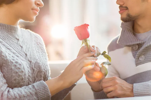 Jeune Homme Donnant Rose Rouge Son Amour Jour Saint Valentin — Photo