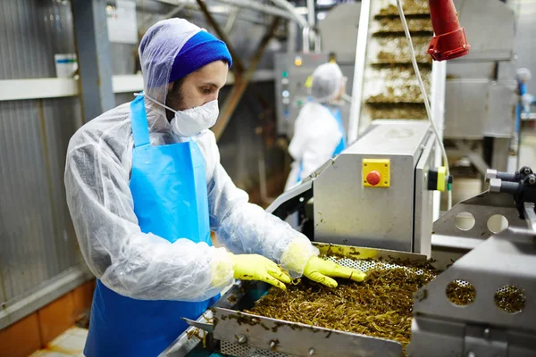 Hombre Joven Uniforme Trabajando Línea Producción Ensaladas Algas Marinas —  Fotos de Stock