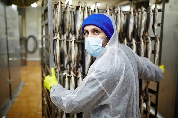 Personal Planta Producción Mariscos Empujando Carro Con Filete Sardinas Frescas —  Fotos de Stock