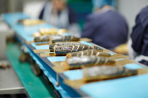 Smoked fish slices on tin sheets moving forwards on processing line