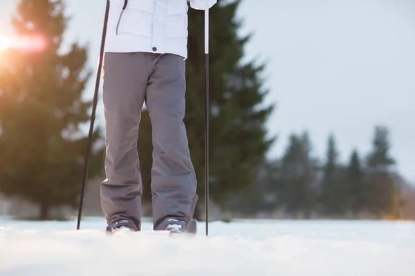 Menschliche Beine Warmen Winterhosen Beim Skifahren Schneewehen Winterlichen Tagen — Stockfoto