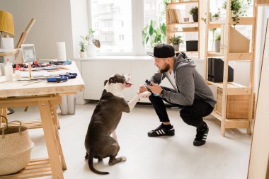 Evdeki evcil hayvanıyla iş yerinde oynayıp ona yeni oyuncağını gösteren sıradan bir adam.