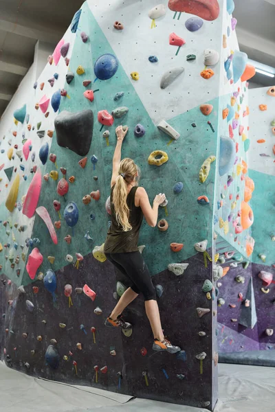 登山壁に人工岩で長髪の若い現役女性の背面図上に移動しながら — ストック写真