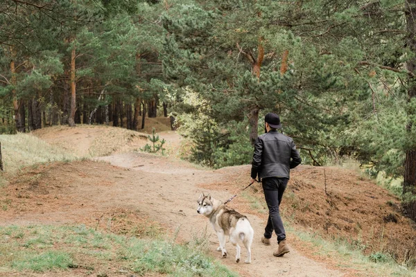 Hátsó Nézet Fiatal Férfi Gazdaság Póráz Aranyos Fajtatiszta Husky Kutya — Stock Fotó